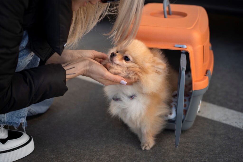 A woman pets a small dog in a compact orange crate, illustrating a heartwarming scene of care and connection