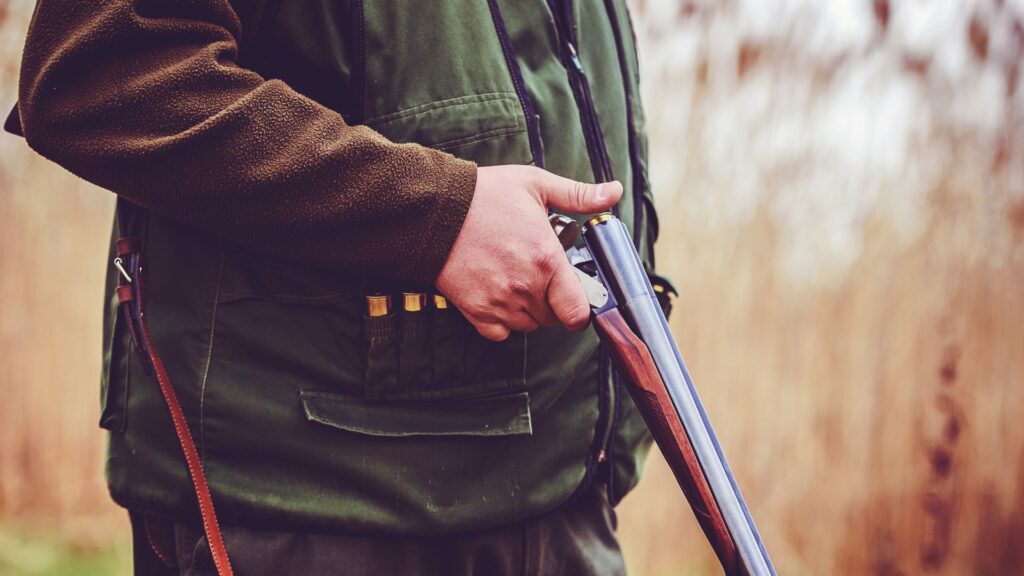 Close-up of a person holding a shotgun in a hunting setting. The person wears a green jacket and the shotgun is held pointing downwards.  Shotgun shells are visible on the jacket.