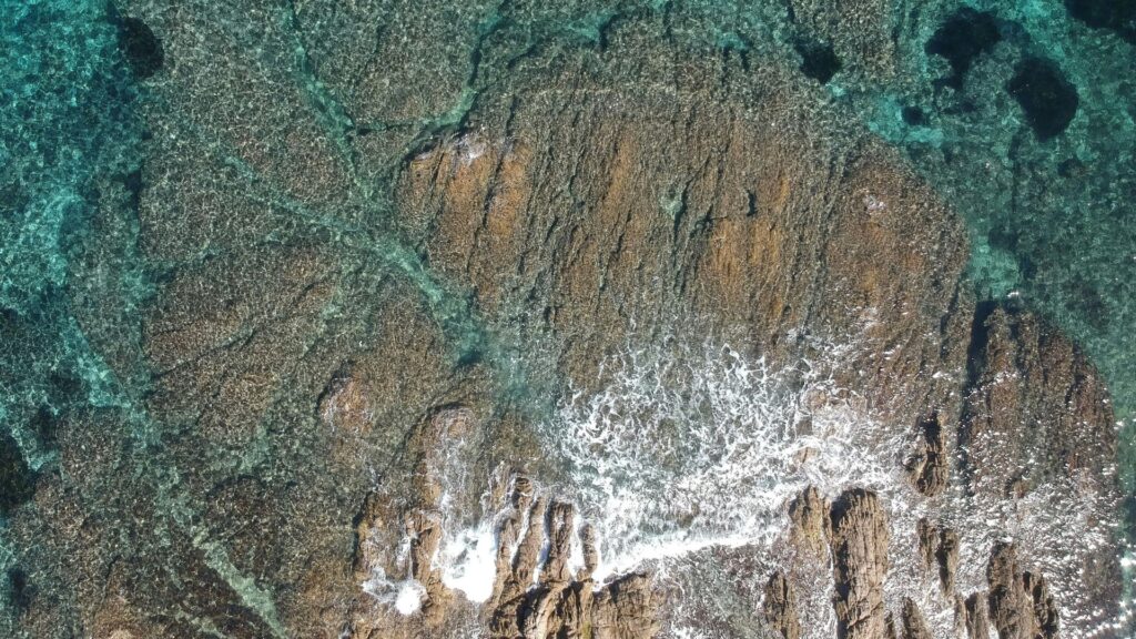 Aerial view of green and brown land, Cap Taillat, Ramatuelle, France